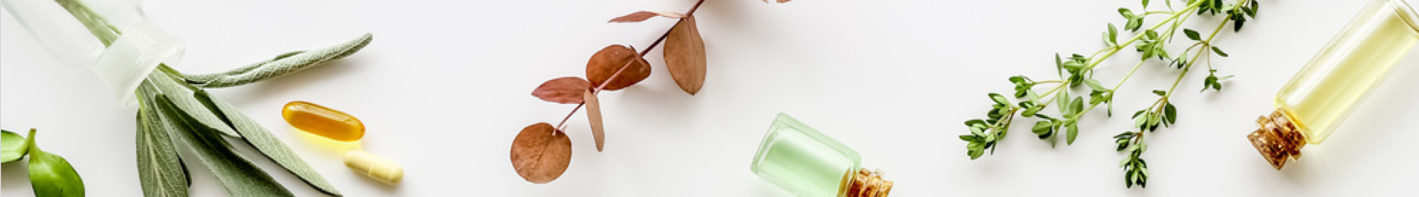 Les éditions & l'équipe